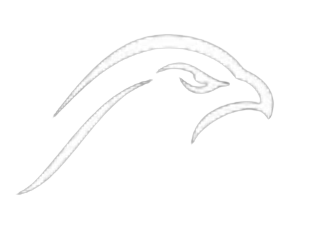 Falconpips logo
